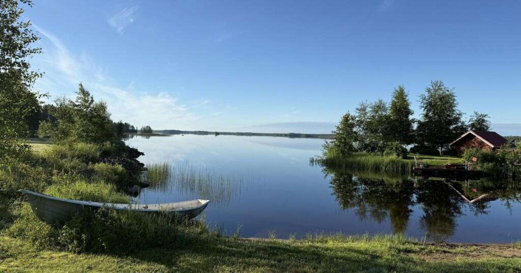 Summer landscape
