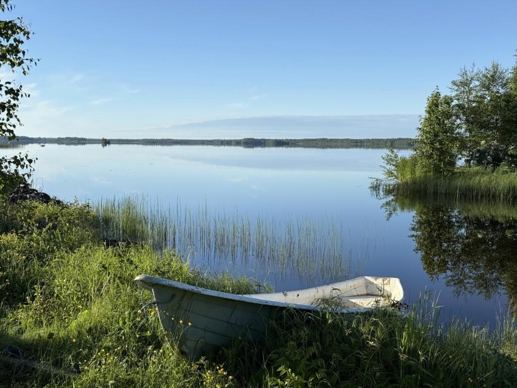 Summer landscape with lake