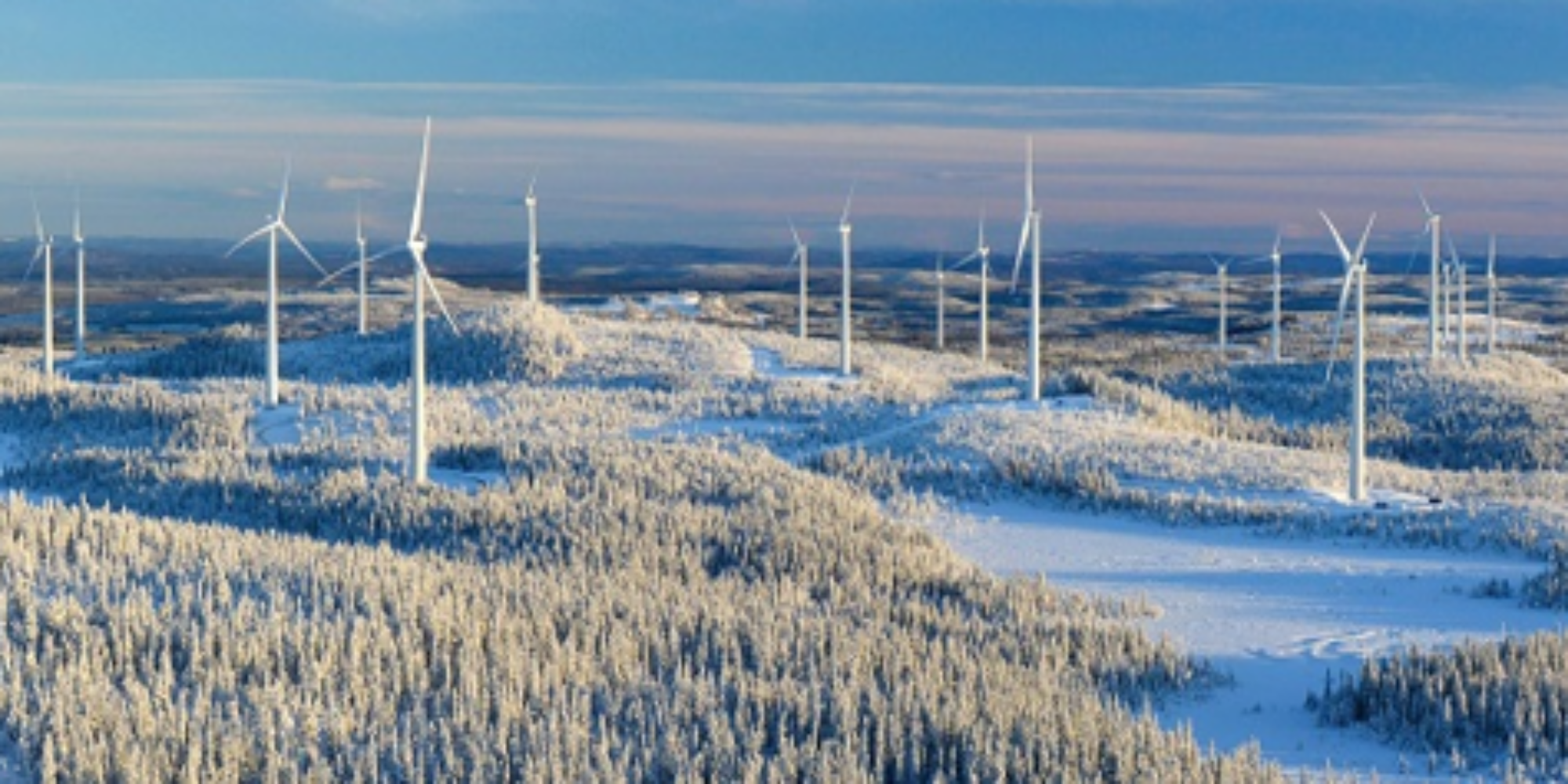 Wind park landscape