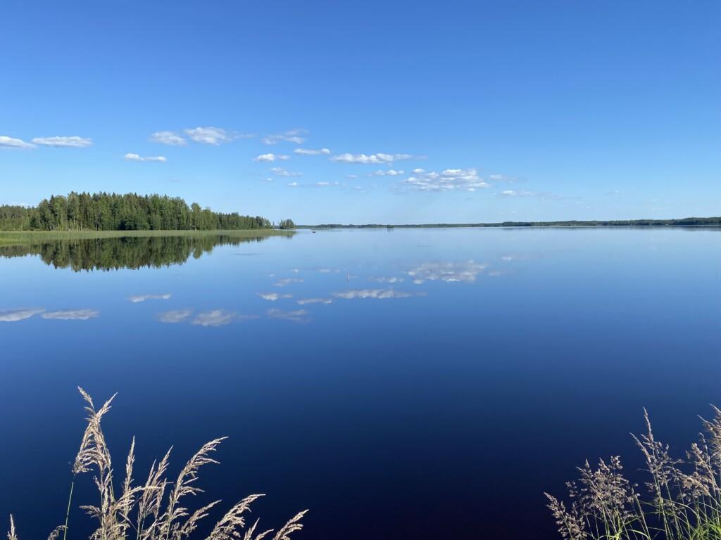 Landscape lake summer