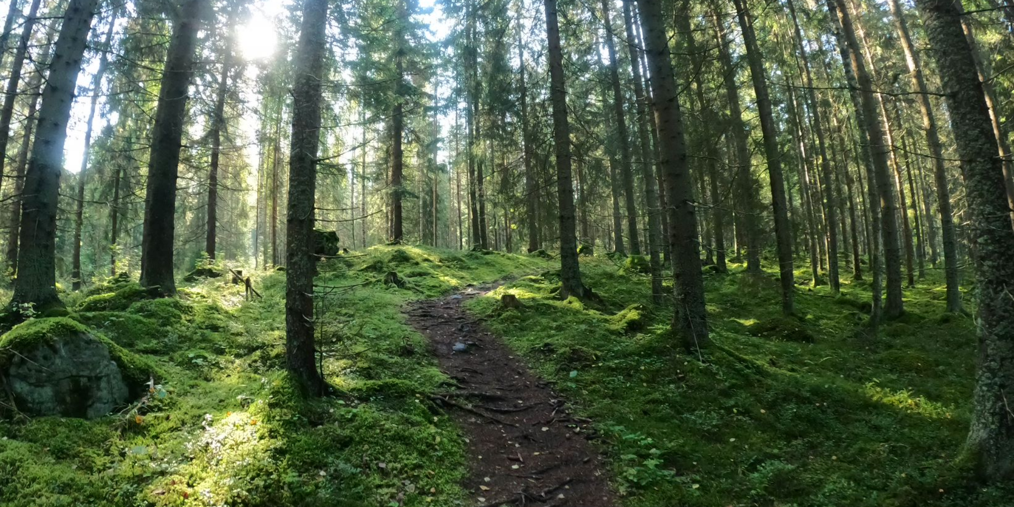 Labkotec tukee Voimaa metsästä '24 -tapahtumaa